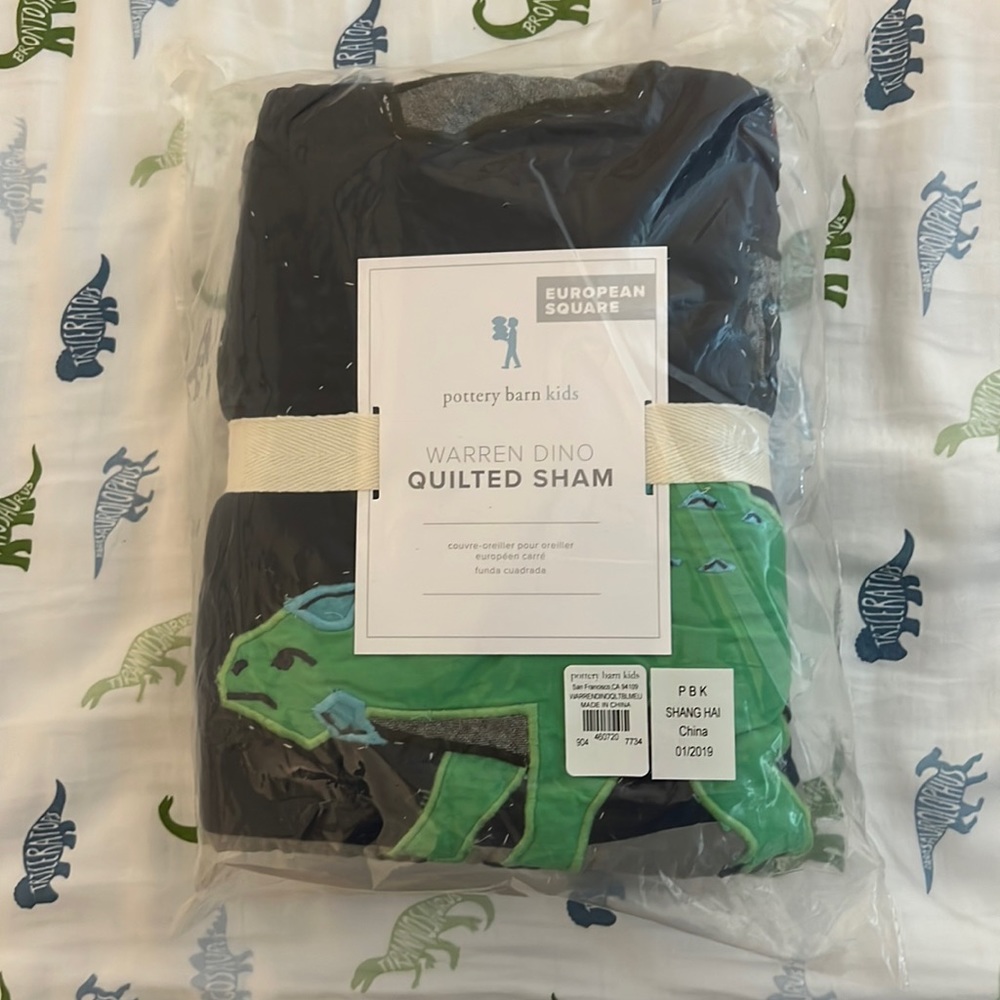 Pottery Barn Warren Dino Euro Sham
